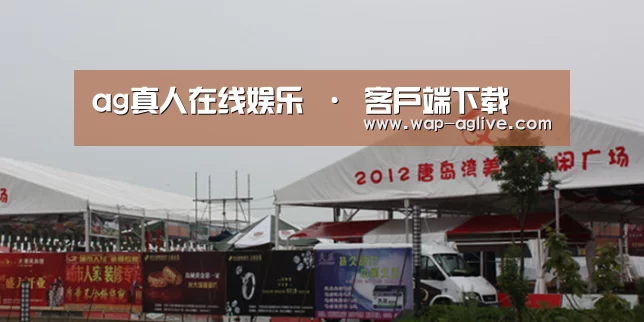 案例标题十(图1)