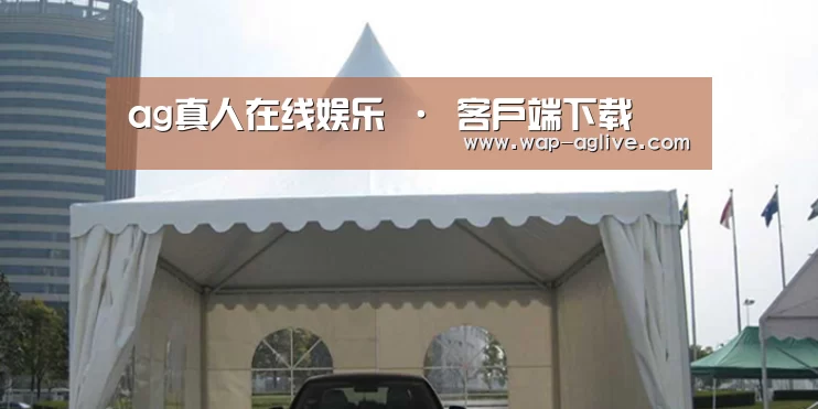 案例标题八(图1)