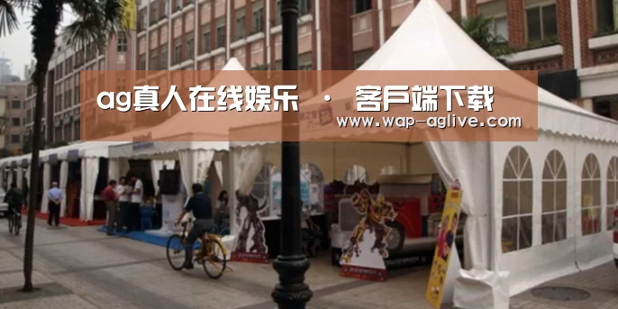 案例标题九(图1)