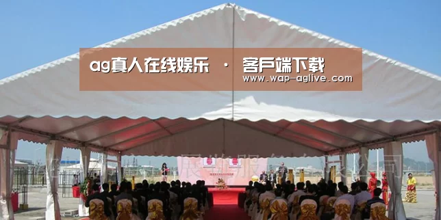 案例标题三(图1)