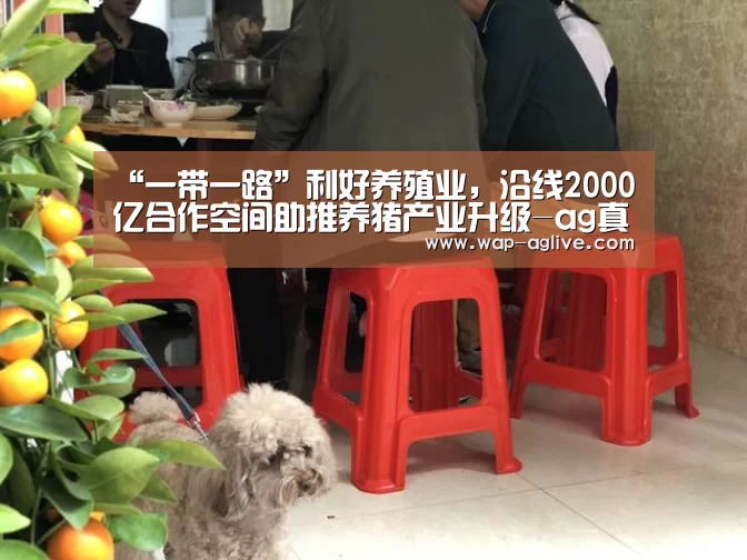 ag真人厅下载
