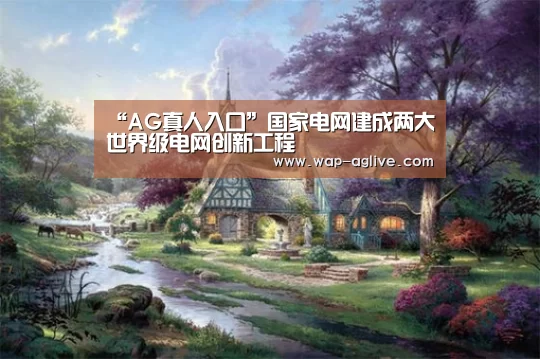 “AG真人入口”国家电网建成两大世界级电网创新工程(图3) AG真人入口