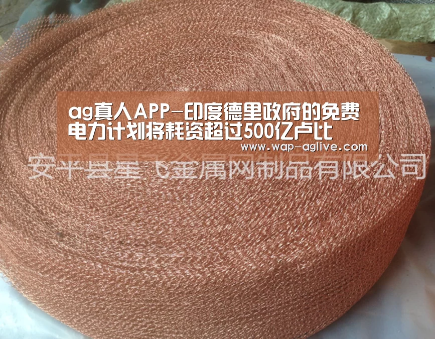 ag真人APP-印度德里政府的免费电力计划将耗资超过500亿卢比(图3) ag真人APP