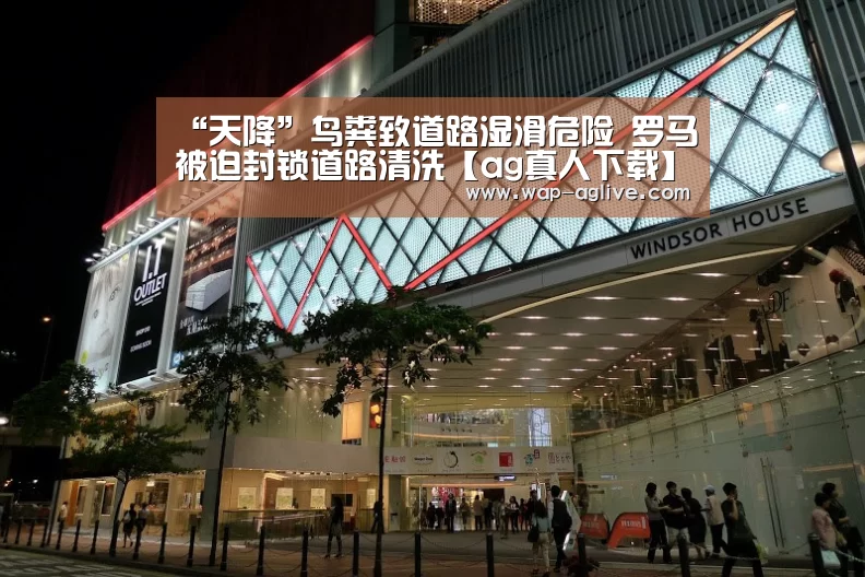 “天降”鸟粪致道路湿滑危险 罗马被迫封锁道路清洗【ag真人下载】(图2) ag真人APP