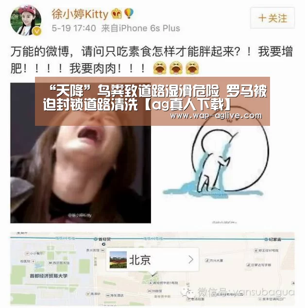 “天降”鸟粪致道路湿滑危险 罗马被迫封锁道路清洗【ag真人下载】(图1) ag真人厅下载