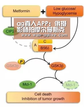 ag真人APP:俄摄影师拍摩尔曼斯克极夜美景 宛如童话王国(图1) ag真人APP
