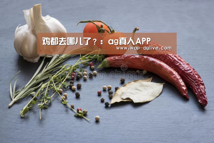 鸡都去哪儿了?:ag真人APP(图1) AG真人入口
