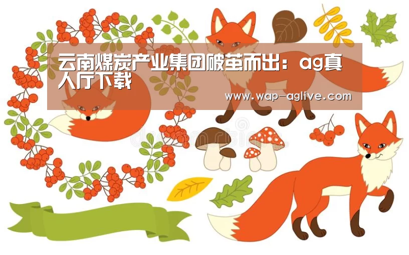 云南煤炭产业集团破茧而出:ag真人厅下载(图2) ag真人下载