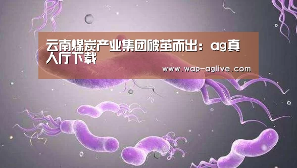 云南煤炭产业集团破茧而出:ag真人厅下载(图4) ag真人APP