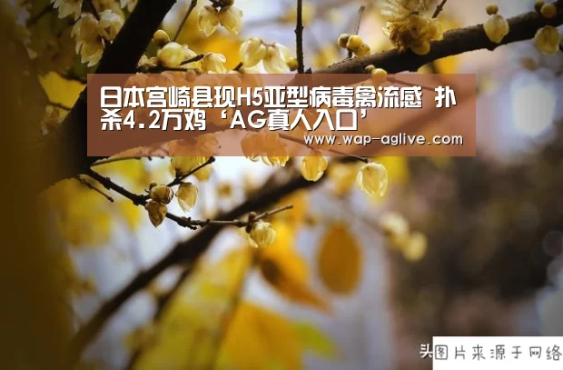 ag真人厅下载